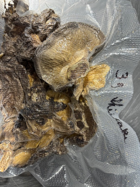 Dried Shiitake Mushrooms